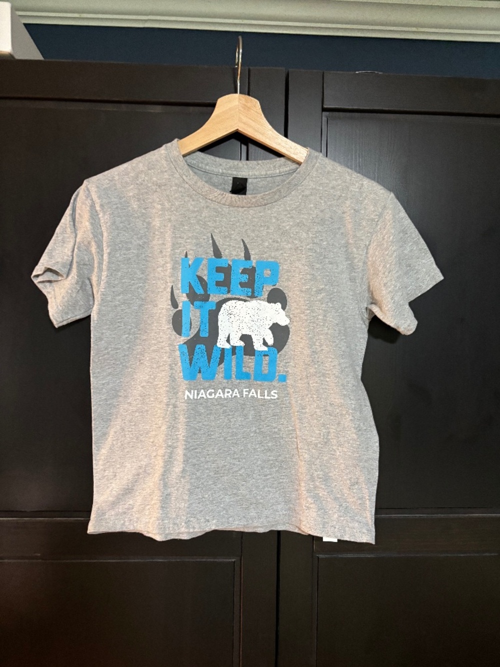Niagara Falls T Shirt, Size S